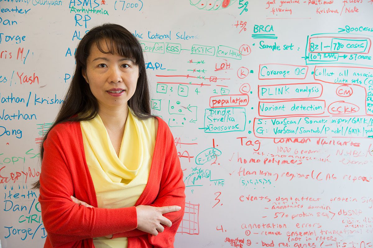 Li Ding, PhD, joined the School of Medicine faculty in 2002.