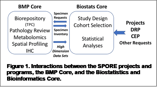 Spore Biostatsandbioinformatics